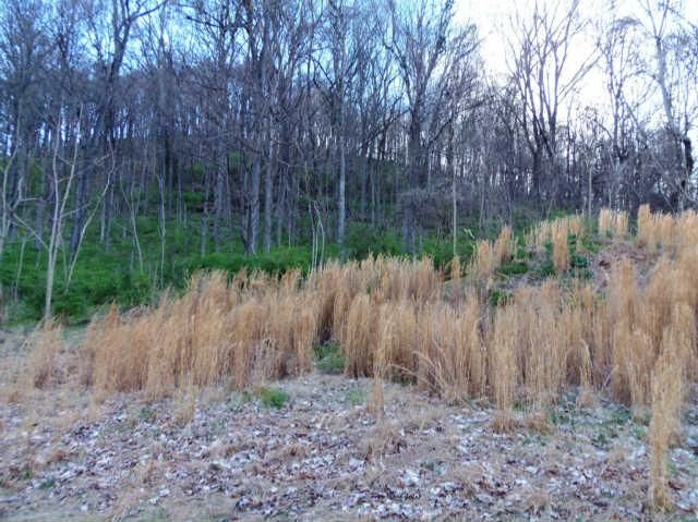 908 Otter Creek Rd, Nashville, TN 37220