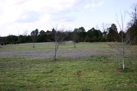 3840 Little Rock Rd, Eagleville, TN 37060