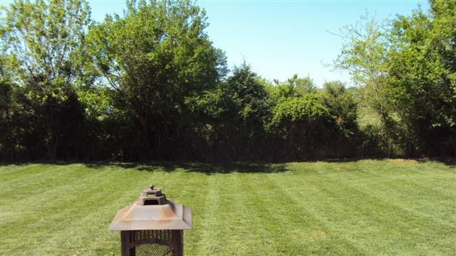 313 Brickle Dr, Murfreesboro, TN 37128