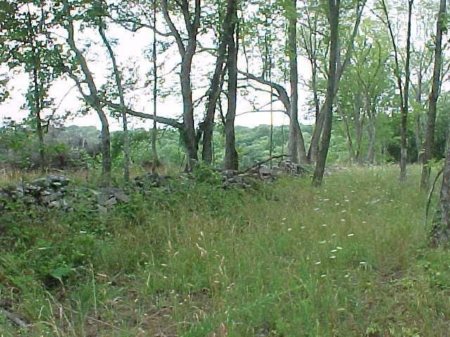 417 Alydar Dr, Watertown, TN 37184