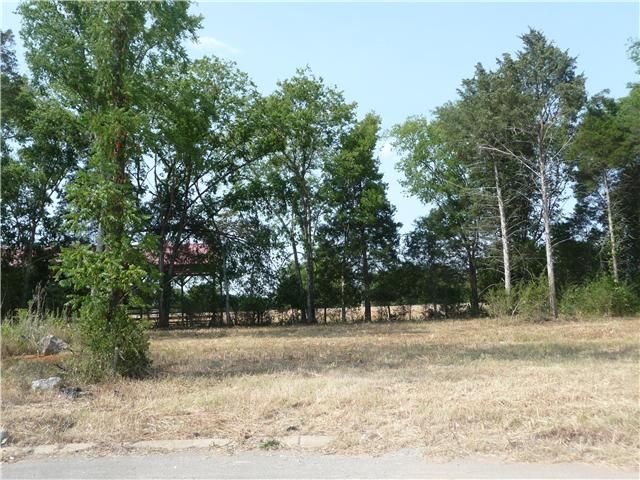 116 Eidolon Ct, Christiana, TN 37037