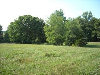7680 Barnhill Rd Lot #3, Primm Springs, TN 38476