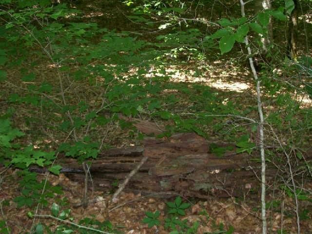 7906 Daugherty Capley Rd #1, Primm Springs, TN 38476