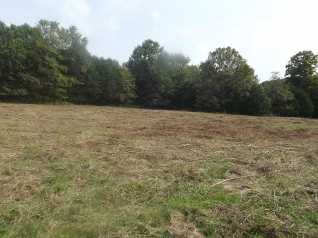 0 Bowman Branch Ln, Riddleton, TN 37151