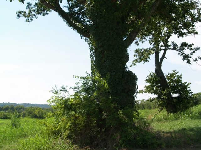 1 Hardison, Columbia, TN 38401
