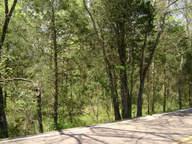 0 Patterson Hill Rd, Lascassas, TN 37085