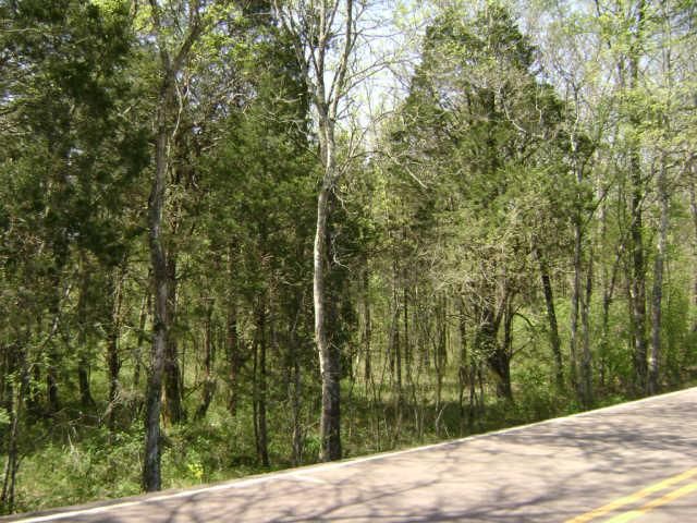 0 Patterson Hill Rd, Lascassas, TN 37085