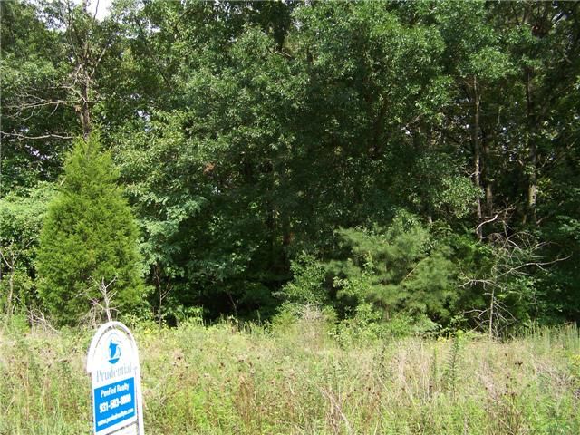6 Jack Teasley Rd, Pleasant View, TN 37146