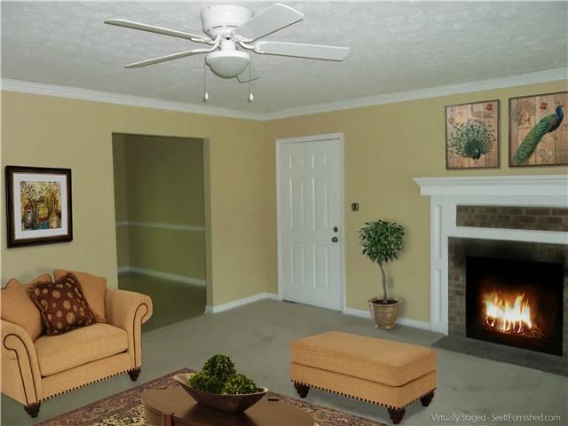 166 Mcniel Dr, Murfreesboro, TN 37128