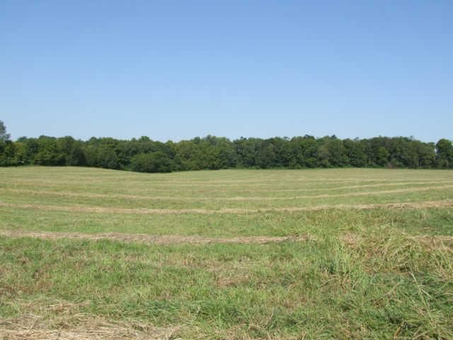 0 Hwy 49w, Springfield, TN 37172