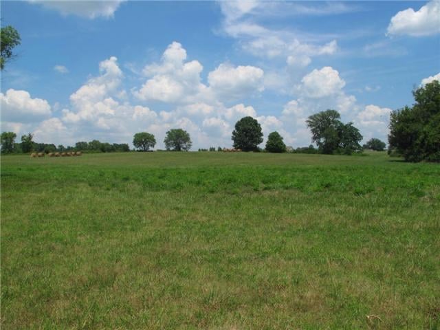 2810 Duplex Rd, Spring Hill, TN 37174