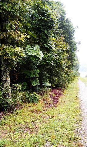 1204 Charles Brown Rd, Westmoreland, TN 37186