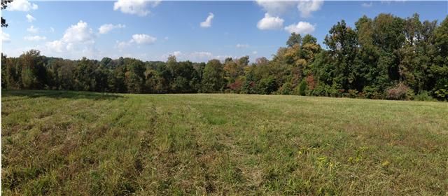 1055 Wakefield Ln, Springfield, TN 37172