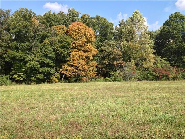 2995 New Cut Rd, Springfield, TN 37172