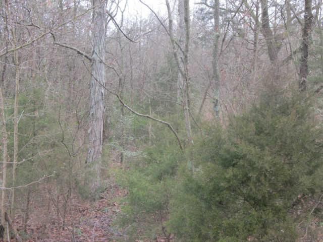 0 Noel Dr, Mount Juliet, TN 37122