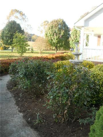 1777 Seavy Hight Rd, Columbia, TN 38401
