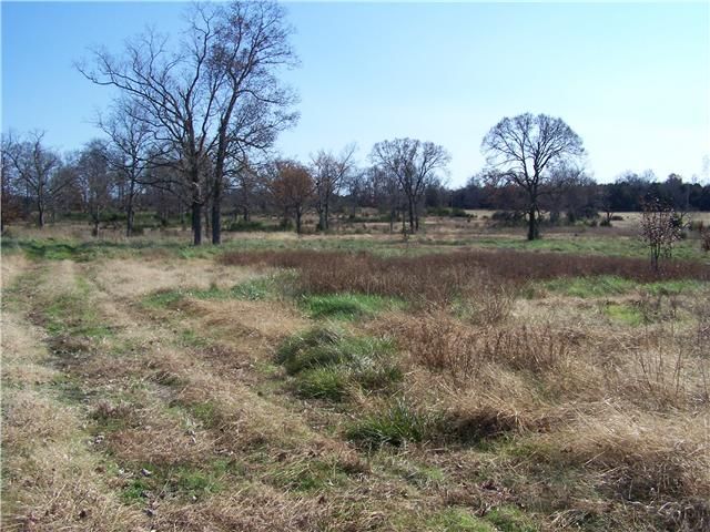 2 Rhodes Ln, Lascassas, TN 37085