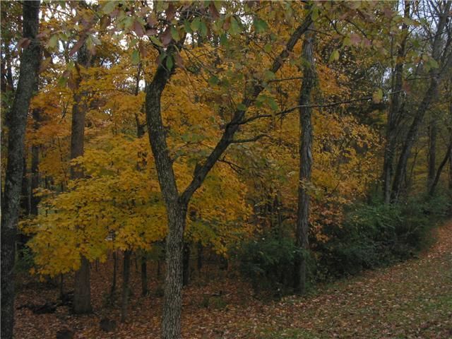 1007 Overhills Ct, Old Hickory, TN 37138