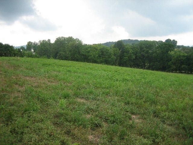 5529 Hawks Landing Dr, Arrington, TN 37014