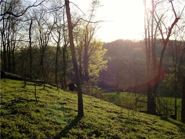 10 Morel Rd, Columbia, TN 38401