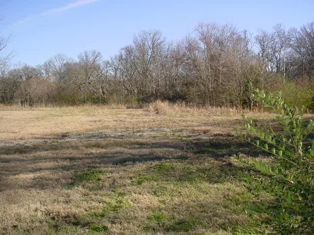 4023 Almaville Rd, Smyrna, TN 37167