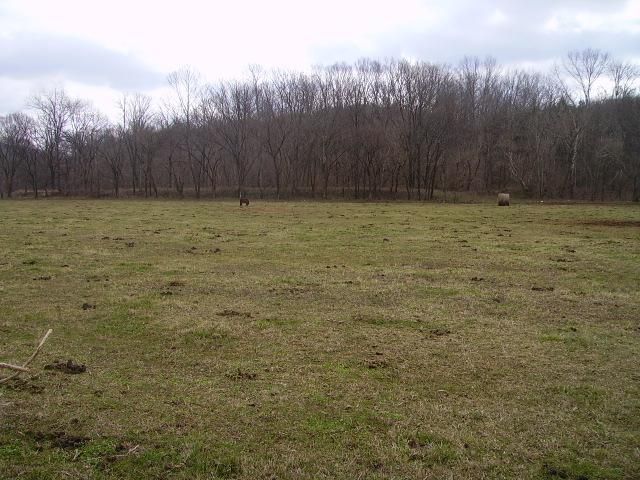 3904 Hwy 31e, Bethpage, TN 37022