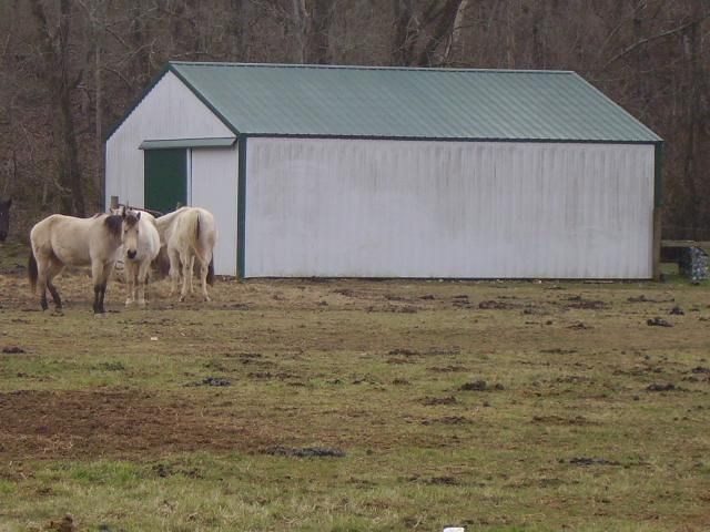 3904 Hwy 31e, Bethpage, TN 37022