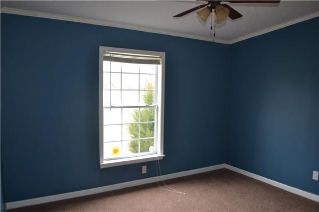 3442 Ridge Rd, Cedar Hill, TN 37032