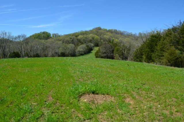257 Enigma Rd, Chestnut Mound, TN 38552