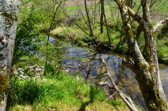 257 Enigma Rd, Chestnut Mound, TN 38552