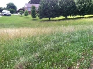 103 Carson Ct N, White House, TN 37188