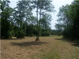 1075 John Wright Rd, Mount Juliet, TN 37122