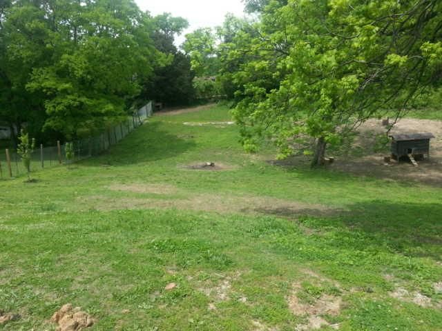 919 Radford Dr, Nashville, TN 37217