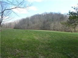 5830 Leipers Creek Rd, Franklin, TN 37064