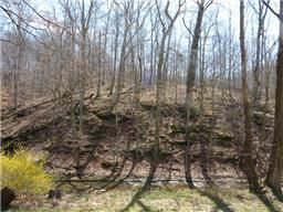 5830 Leipers Creek Rd, Franklin, TN 37064