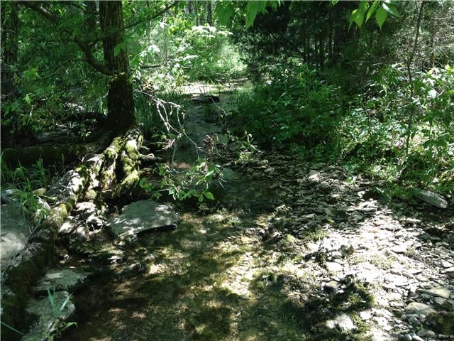 1671 Newman Rd, Rockvale, TN 37153