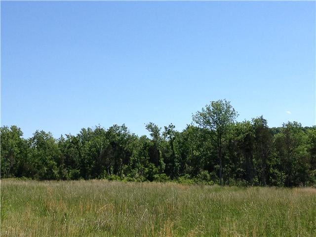 1671 Newman Rd, Rockvale, TN 37153