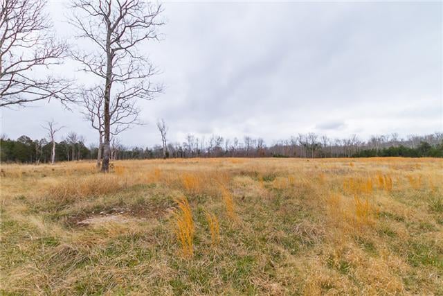 1671 Newman Rd, Rockvale, TN 37153