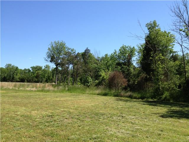 1671 Newman Rd, Rockvale, TN 37153