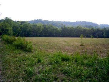 1201 Lula Ln, Franklin, TN 37064