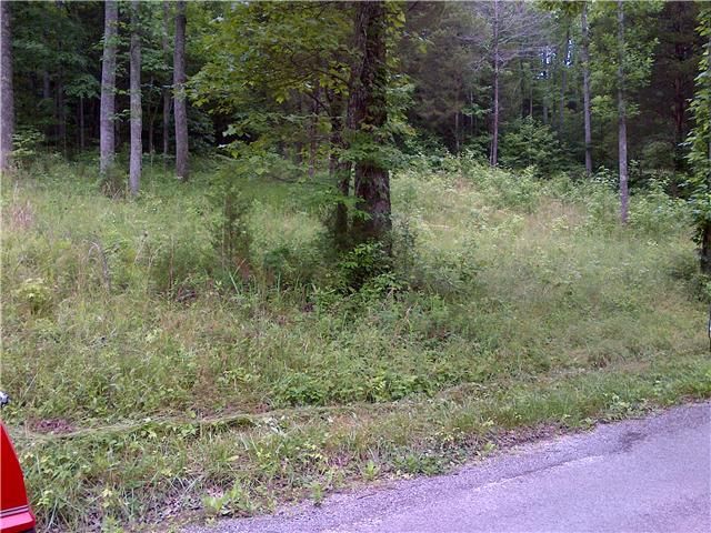 0 Plunder Creek #9, Dickson, TN 37055
