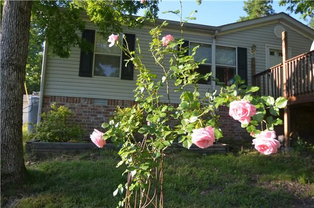 7361 Coldwater Rd, Fairview, TN 37062