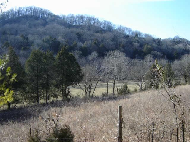 18 Dickerson Hollow Ln, Pleasant Shade, TN 37145