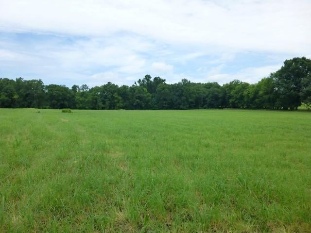 3550 Grove Park Dr, College Grove, TN 37046