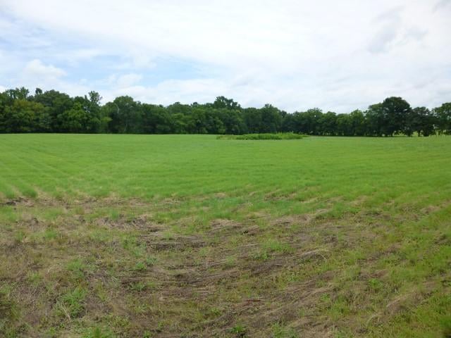 3550 Grove Park Dr, College Grove, TN 37046