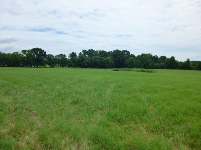 3550 Grove Park Dr, College Grove, TN 37046
