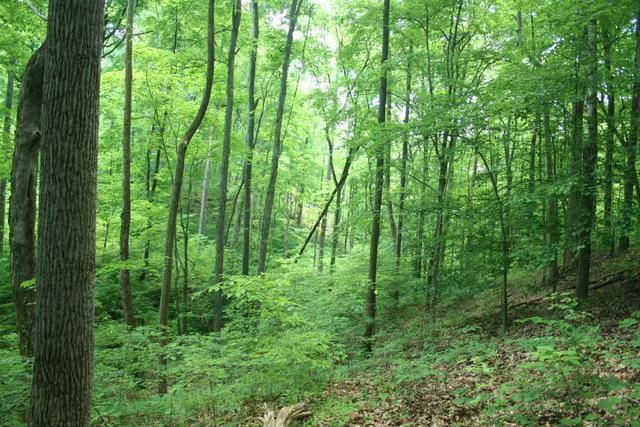 0 Hilltown Rd, Santa Fe, TN 38482