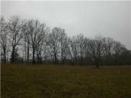 7925 Oscar Green Rd, Franklin, TN 37064