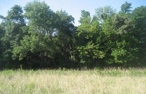 0 Hwy 48 N Tract 4, Charlotte, TN 37036