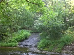 0 Shoals Branch Rd, Franklin, TN 37064
